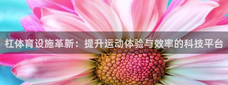 意昂4五金厂：杠体育设施革新：提升运动体验与效率的科