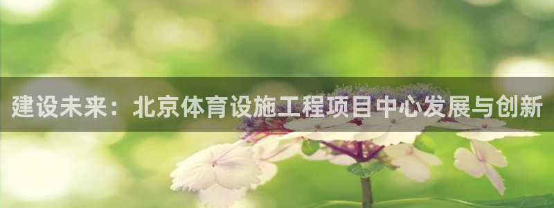 意昂4代理：建设未来：北京体育设施工程项目中心发展与