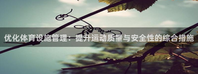 意昂4开户：优化体育设施管理：提升运动质量与安全性的