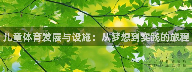 意昂体育4平台注册：儿童体育发展与设施：从梦想到实践