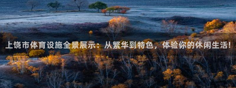 意昂体育4软件：上饶市体育设施全景展示：从繁华到特色