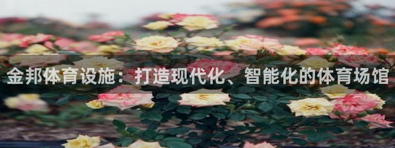 意昂4集团：金邦体育设施：打造现代化、智能化的体育场