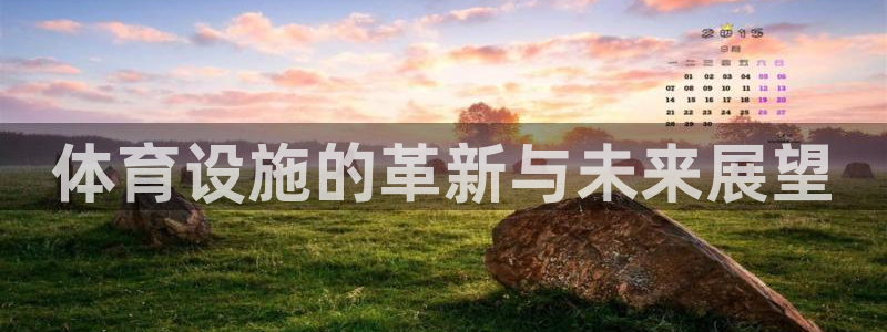 意昂平台体育：体育设施的革新与未来展望