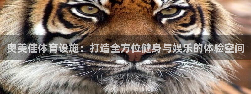 意昂4集团E.ON：奥美佳体育设施：打造全方位健身与