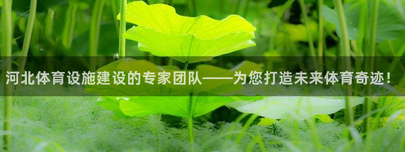 注册意昂4：河北体育设施建设的专家团队——为您打造未
