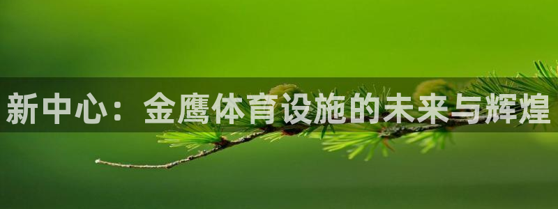 意昂平台体育：新中心：金鹰体育设施的未来与辉煌