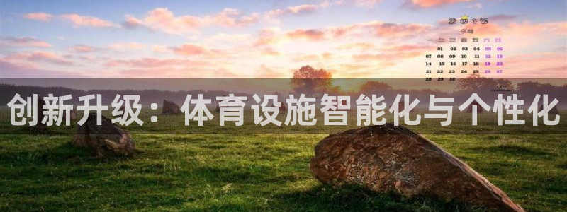 意昂体育4：创新升级：体育设施智能化与个性化