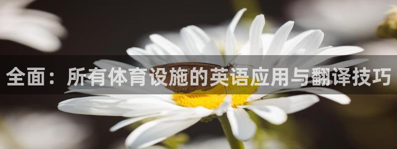 意昂体育4招商电话地址是多少：全面：所有体育设施的英语应用与