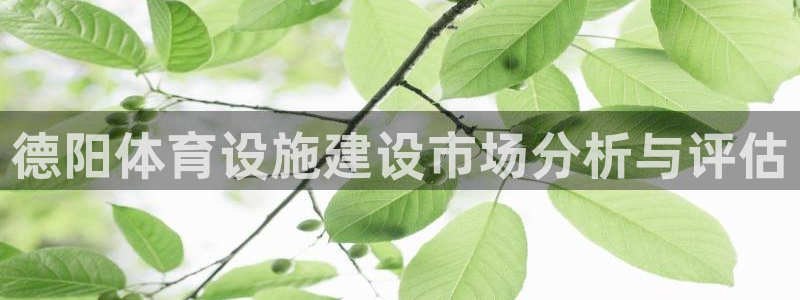 意昂体育4招商电话号码是多少啊：德阳体育设施建设市场分析与评