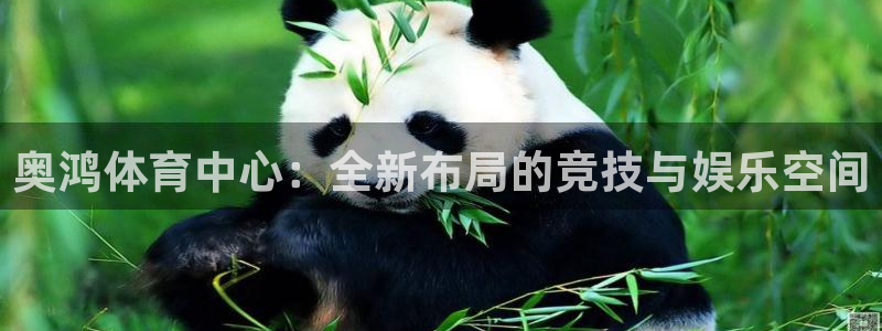 意昂体育4平台：奥鸿体育中心：全新布局的竞技与娱乐空