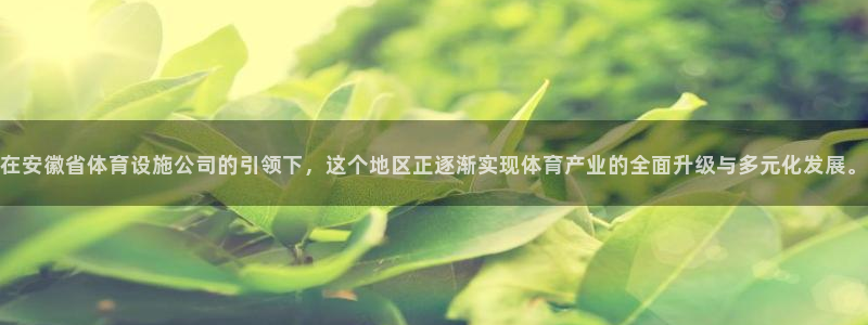 意昂体育4平台注册要钱吗安全吗：在安徽省体育设施公司的引领下