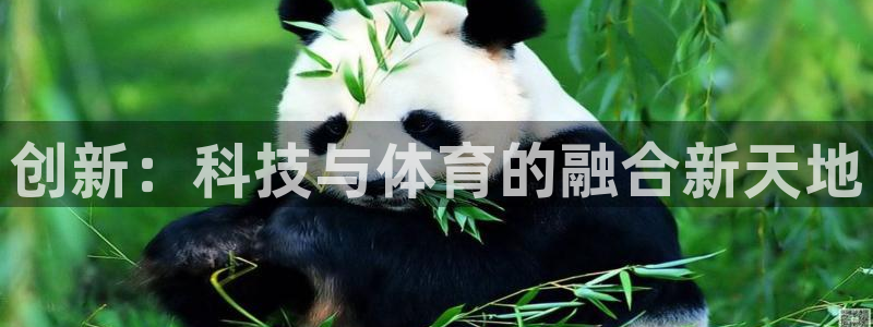 意昂4开户：创新：科技与体育的融合新天地