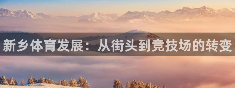 意昂体育4平台注册流程图：新乡体育发展：从街头到竞技