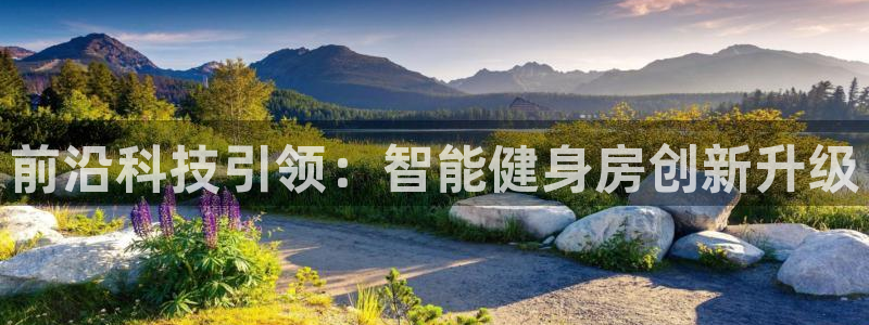 意昂体育4是干嘛的公司：前沿科技引领：智能健身房创新