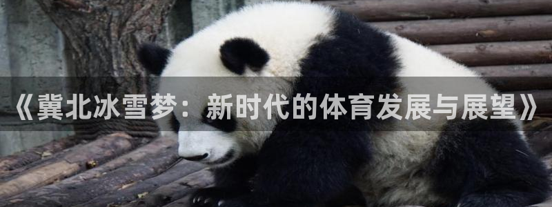 意昂体育4招商电话号码是多少：《冀北冰雪梦：新时代的