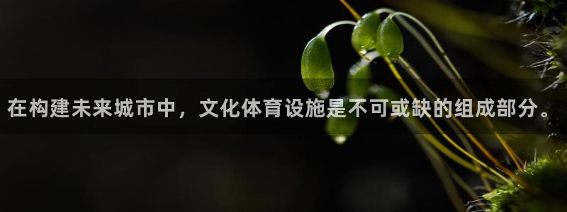 意昂4集团简介：在构建未来城市中，文化体育设施是不可