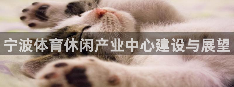 意昂4集团：宁波体育休闲产业中心建设与展望