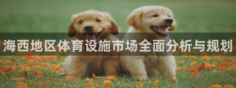 意昂体育4平台是正规平台吗安全吗：海西地区体育设施市