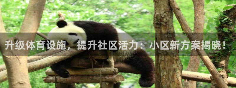 意昂4娱乐首页网站大全：升级体育设施，提升社区活力：
