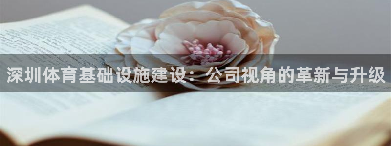 意昂平台体育：深圳体育基础设施建设：公司视角的革新与