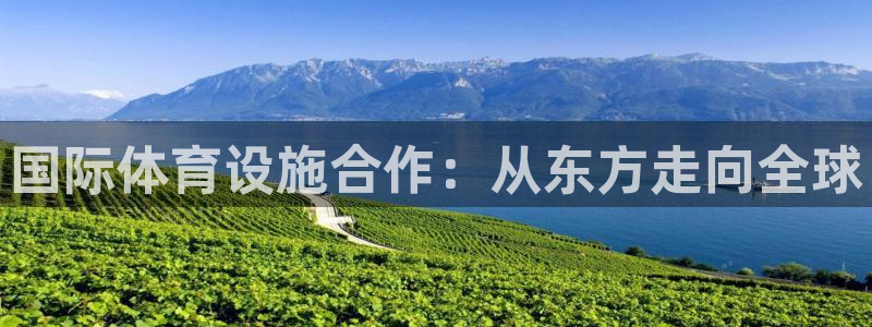 意昂体育4是干嘛的公司：国际体育设施合作：从东方走向