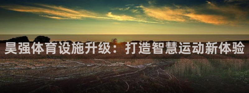 意昂体育4招商：昊强体育设施升级：打造智慧运动新体验