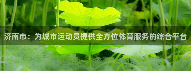 海南意昂体育4：济南市：为城市运动员提供全方位体育服