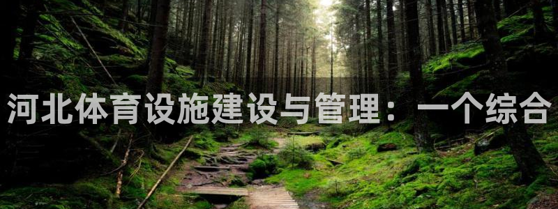 意昂体育4招商电话地址：河北体育设施建设与管理：一个