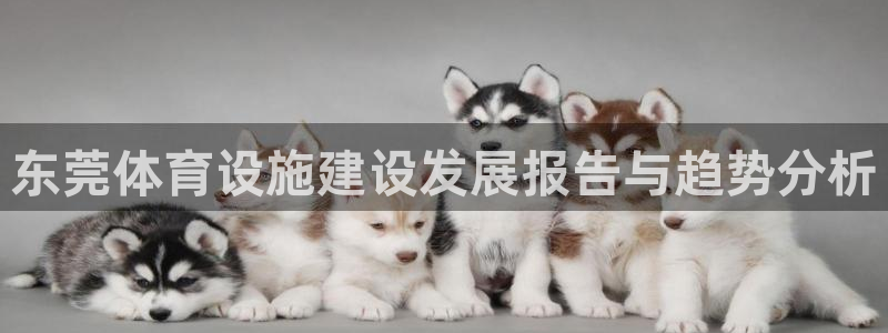 意昂4集团官网首页：东莞体育设施建设发展报告与趋势分析