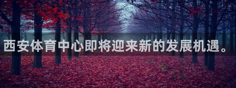 意昂体育4软件：西安体育中心即将迎来新的发展机遇。