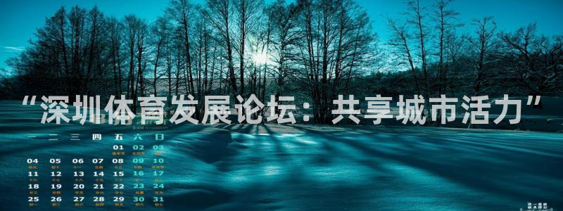 意昂4五金厂：“深圳体育发展论坛：共享城市活力”