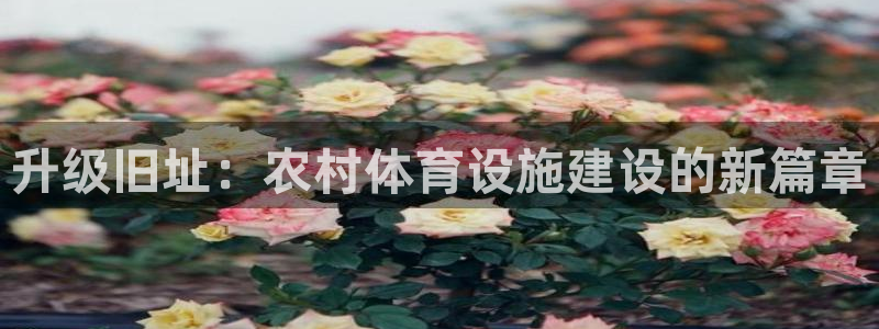 意昂4官网：升级旧址：农村体育设施建设的新篇章