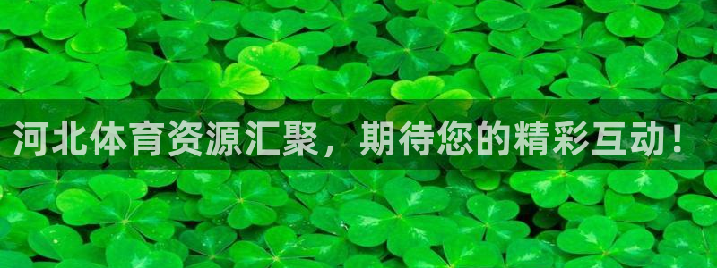 意昂体育4平台注册要钱吗：河北体育资源汇聚，期待您的精彩互动 