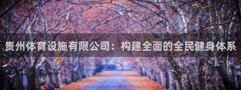意昂体育4平台注册要钱吗：贵州体育设施有限公司：构建全面的全