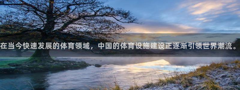 意昂体育4软件：在当今快速发展的体育领域，中国的体育设施建设 