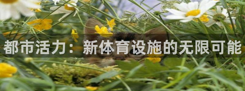 意昂4娱乐40996：都市活力：新体育设施的无限可能