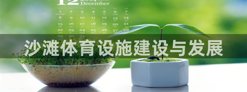 意昂4娱乐下载：沙滩体育设施建设与发展 