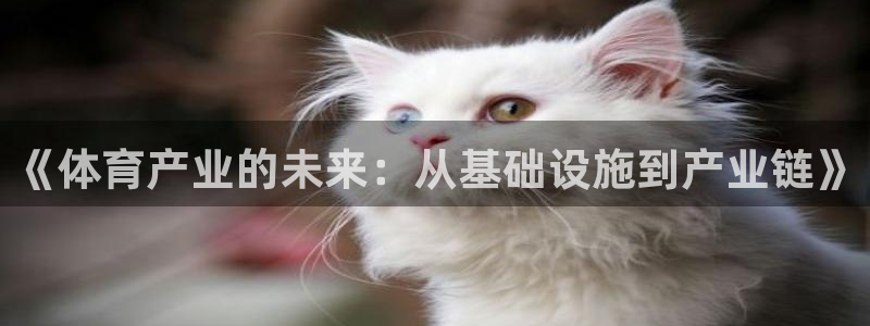 意昂体育4平台假的吗是真的吗吗：《体育产业的未来：从基础设施