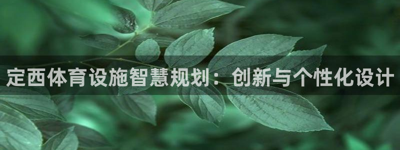意昂4娱乐下载：定西体育设施智慧规划：创新与个性化设计 