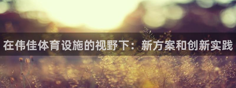 意昂4娱乐是那个系列的台子：在伟佳体育设施的视野下：新方案和