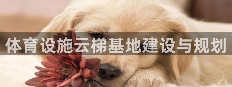 意昂体育4：体育设施云梯基地建设与规划