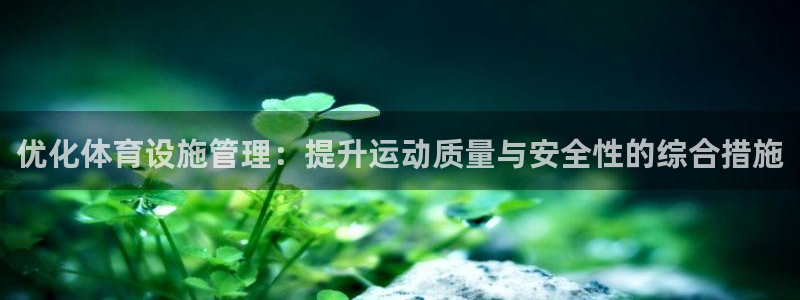 意昂4官网：优化体育设施管理：提升运动质量与安全性的综合措施 