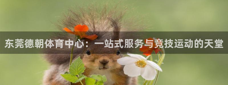 意昂4娱乐网站：东莞德朝体育中心：一站式服务与竞技运动的天堂