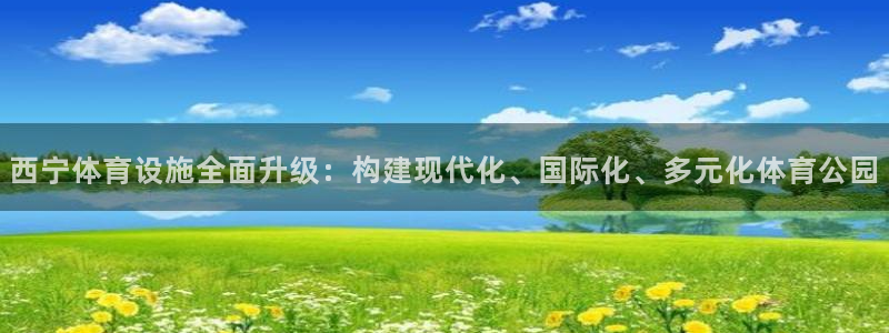 意昂体育4招商电话号码是多少号：西宁体育设施全面升级：构建现