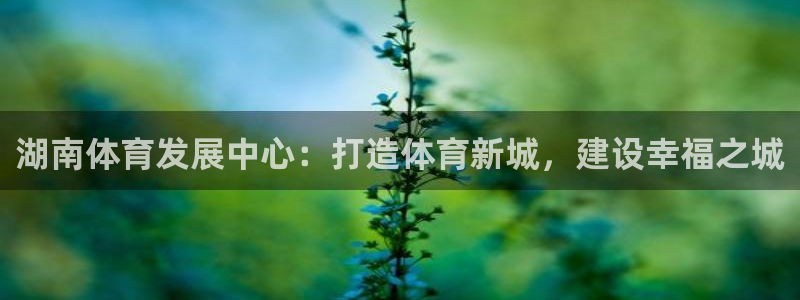 意昂4娱乐平台：湖南体育发展中心：打造体育新城，建设幸福之城