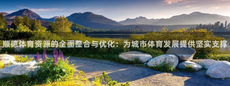 意昂4娱乐是那个系列的台子：顺德体育资源的全面整合与优化：为 