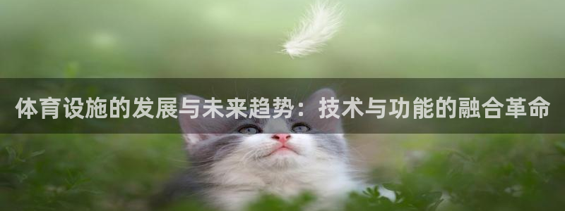 意昂体育4招商电话是多少啊：体育设施的发展与未来趋势：技术与